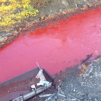 Kinh hoàng vì sông đổi màu, đỏ lừ như máu ở Nga