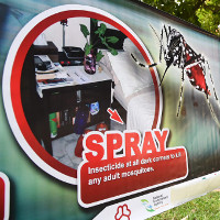 Singapore: Virus Zika lây truyền trong nước