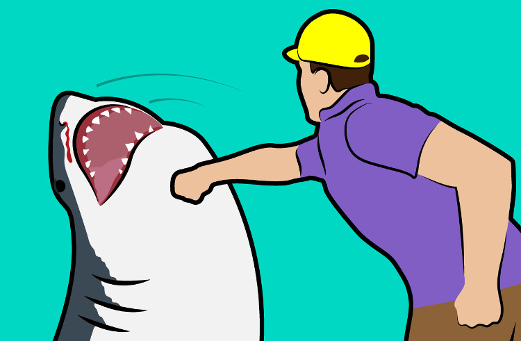 9 mẹo sinh tồn truyền miệng có thể khiến bạn dễ chết hơn