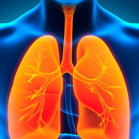 Các nhà khoa học phát triển thành công phổi "mini"