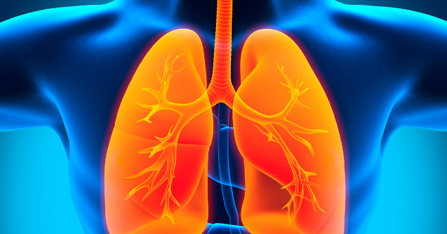 Hình ảnh phổi của con người. 