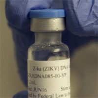 Thử nghiệm hai vắc xin ngừa virus Zika cho kết quả khả quan