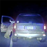 Video: Hươu bị đâm tức giận tấn công trả thù tài xế