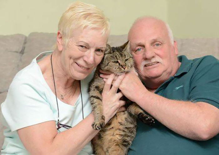Vợ chồng Liz và Ian Finlay chia sẻ, họ đã phát hiện ra mèo Nutmeg vào năm 1990.
