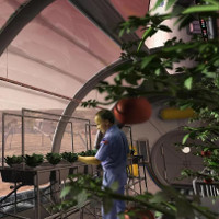 "Vườn sao Hỏa - Martian Gardens" giúp nhà khoa học tìm ra cách trồng rau trên sao Hỏa