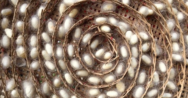 Các nhà khoa học Trung Quốc tạo ra loại tơ siêu bền dẫn được cả điện