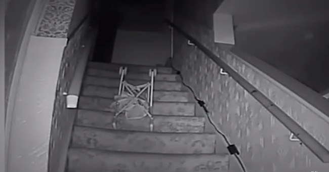 Quỷ đen khét tiếng châu Âu xuất hiện trở lại?