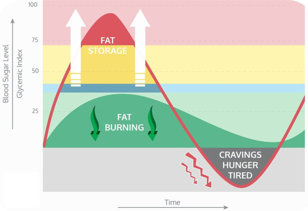 Tìm hiểu về carbohydrate, điều mà mọi người cần biết