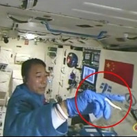 Video: Phi hành gia Trung Quốc chơi với tằm trong không gian