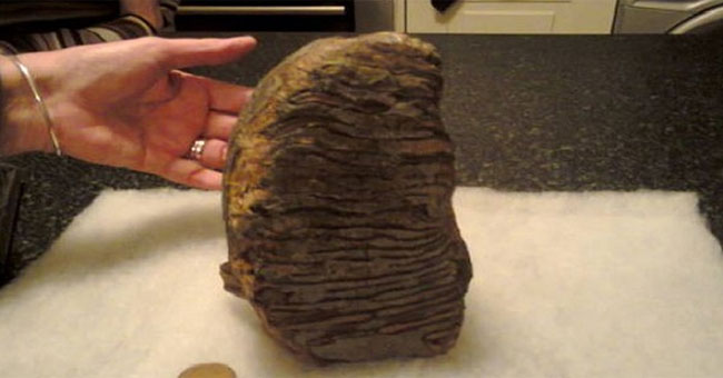 Hóa thạch răng voi ma mút ba triệu năm tuổi trên bờ biển Anh