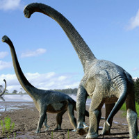 Phát hiện khủng long ăn cỏ mới ở Úc dài 15 mét, nặng gần 20 tấn