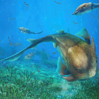 Quai hàm con người tiến hóa từ loài cá cổ đại