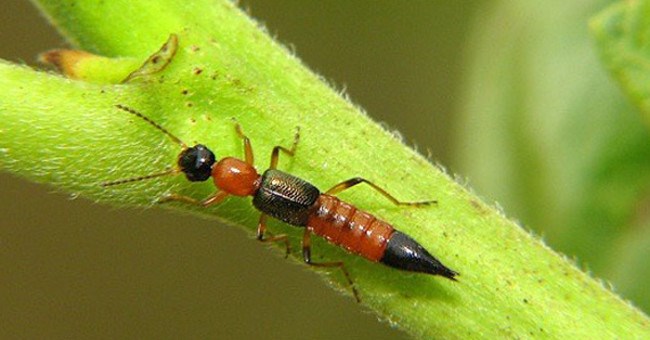 Tổng hợp tin tức hay nhất tuần 05/10