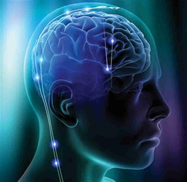 Bộ não là một trong những cấu trúc phức tạp nhất vũ trụ mà con người từng biết đến.