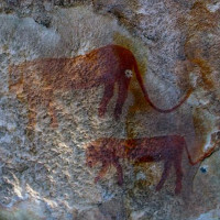 Bức tranh hang động khẳng định trên Trái đất từng tồn tại loài bò rừng lai