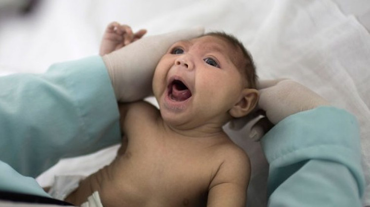 Y học đứng trước cơ hội lớn để kiểm soát zika