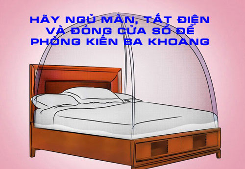 Cách xử lý vết thương do kiến ba khoang gây ra đơn giản mà nhanh