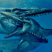 Hóa thạch quái vật biển 75 triệu năm nguyên dấu răng kẻ thù