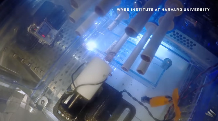 Các nhà khoa học tạo ra một con robot chuyên hút thuốc, nhưng không phải để cho vui
