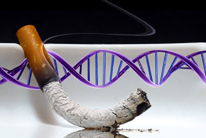 Tác hại kinh hoàng của thuốc lá đến gene lần đầu tiên được công bố