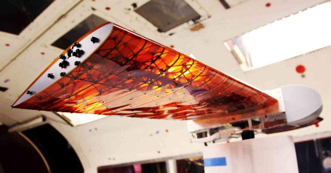NASA chế tạo cánh mới giúp máy bay chuyển hướng nhẹ như chim