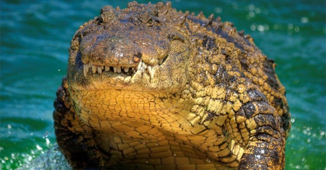 Tổng hợp tin tức hay nhất tuần 03/11