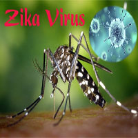 Thắc mắc phổ biến khi virus Zika lan rộng ở Sài Gòn
