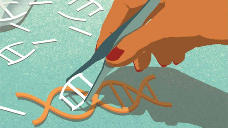 Một nhóm các nhà khoa học Trung Quốc khác cũng đã thí nghiệm CRISPR trên phôi thai người nhưng kết quả chưa được như kỳ vọng.