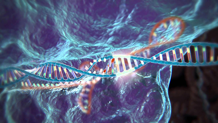 Công cụ chỉnh sửa gene gọi là CRISPR