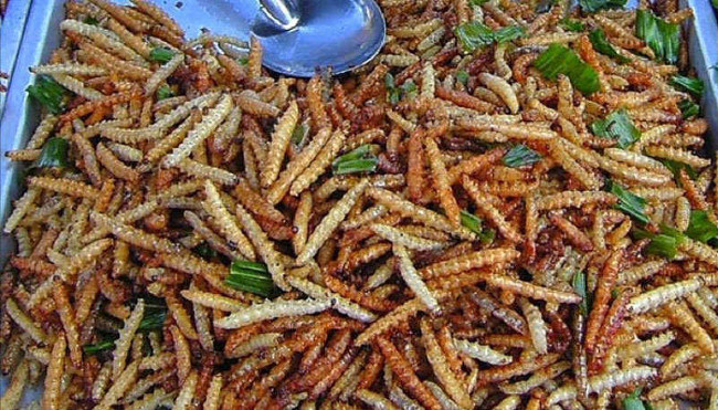 Sợ hãi sinh vật lạ trong ống tre được dân địa phương coi như của quý