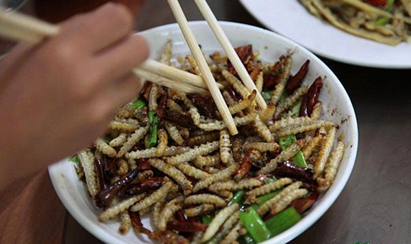 Sợ hãi sinh vật lạ trong ống tre được dân địa phương coi như của quý