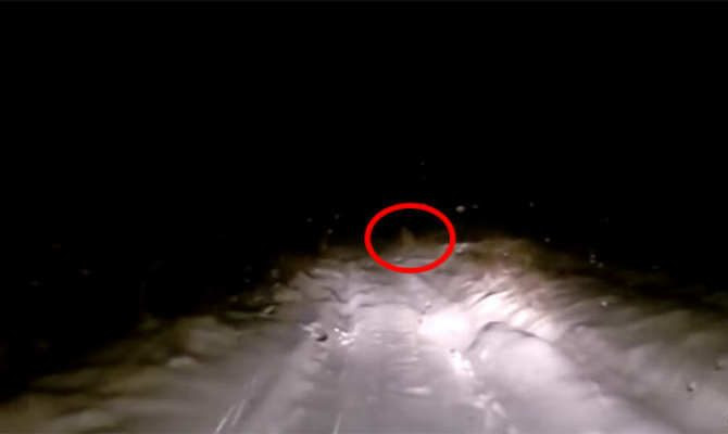 Sinh vật to lớn di chuyển giống người bất ngờ xuất hiện tại vùng núi phủ tuyết hẻo lánh ở Nga.