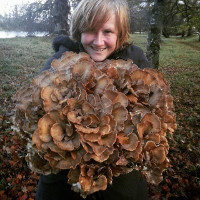 Nấm cục đường kính nửa mét trong rừng Scotland