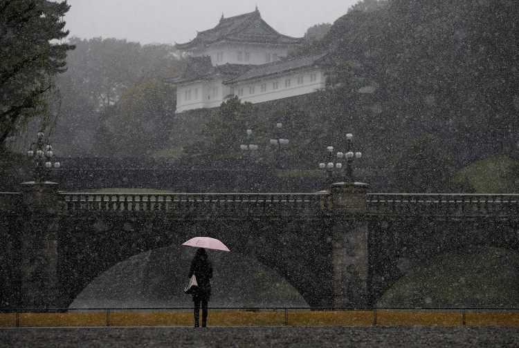 54 năm, tuyết lần đầu rơi vào tháng 11 ở Tokyo