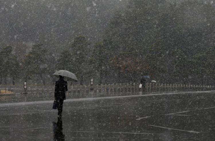 54 năm, tuyết lần đầu rơi vào tháng 11 ở Tokyo