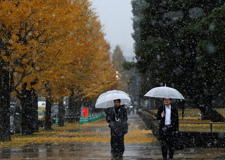 54 năm, tuyết lần đầu rơi vào tháng 11 ở Tokyo