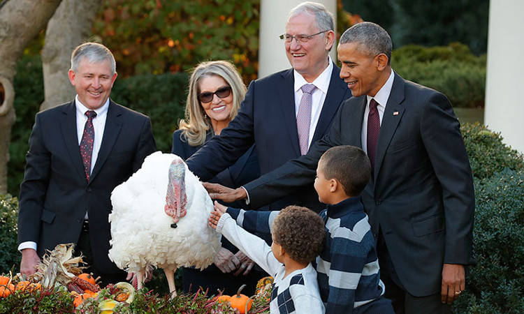 Ông Obama trong lễ ân xá cho gà tây cuối cùng.