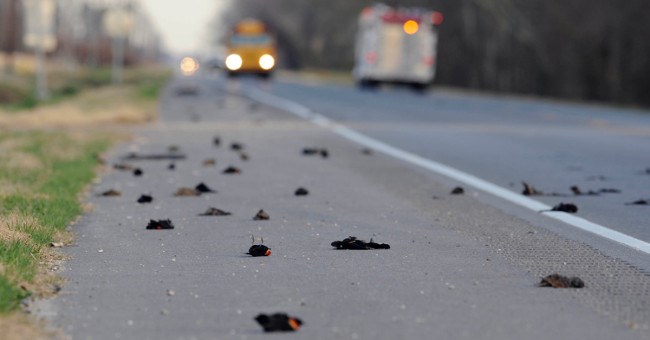 Kinh ngạc top sự kiện hiếm có khó tin trong lịch sử