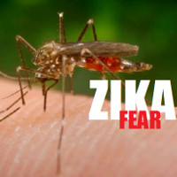 Những điều cần biết về nhiễm virus Zika ở trẻ em