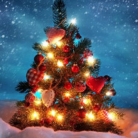 Khi nào nên thắp sáng cây thông mùa Noel?