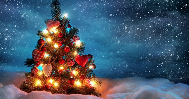 Green Christmas - Giáng sinh xanh, Giáng sinh an lành! - Nhà Mường