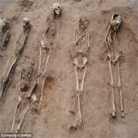 Phát hiện 48 bộ xương chứa bí ẩn về "cái chết đen"