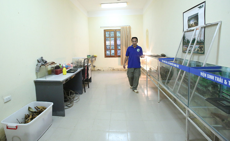 Loài thằn lằn quý hiếm mang hình thù cá sấu