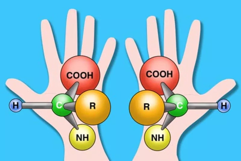 Xác suất để sự sống hình thành tự phát theo thuyết tiến hóa là “nhỏ đến không tưởng”