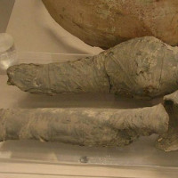 Đôi chân thất lạc của nữ hoàng Ai Cập 3.000 năm tuổi