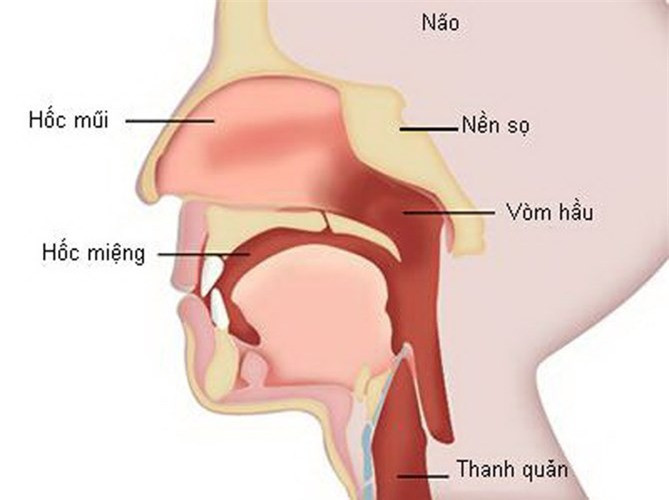 Cách nhận biết sớm các loại ung thư đầu cổ