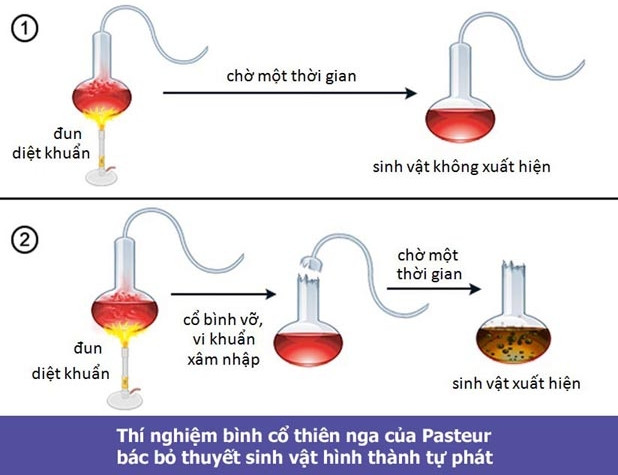 9 lý do chứng minh thuyết tiến hóa của Darwin là sai lầm