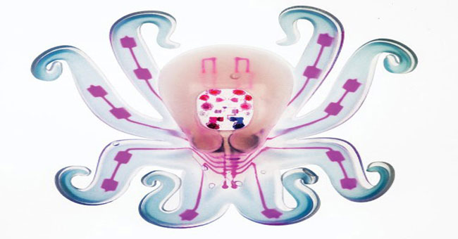 Robot bằng silicone dẻo hoạt động không cần pin