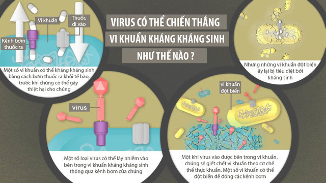 Câu chuyện của hi vọng, trước khi chúng ta bước vào kỷ nguyên 