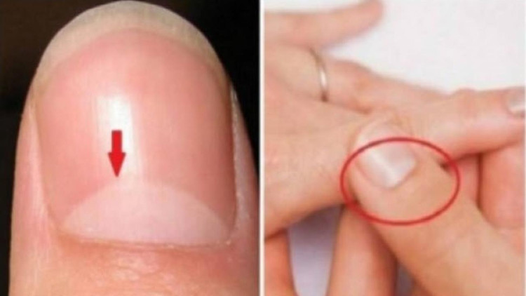 10 sự thật khiến bạn 